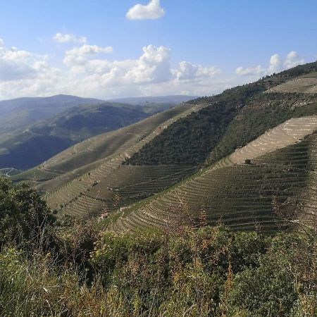 Douro Valley - Casa Da Praca Ervedosa do Douro Exteriör bild