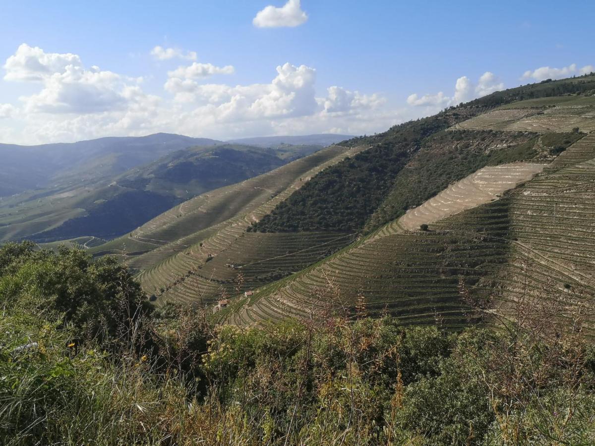 Douro Valley - Casa Da Praca Ervedosa do Douro Exteriör bild